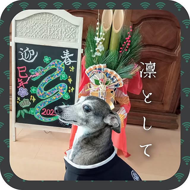 moruさんの部屋