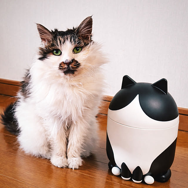 miao-kinさんの部屋