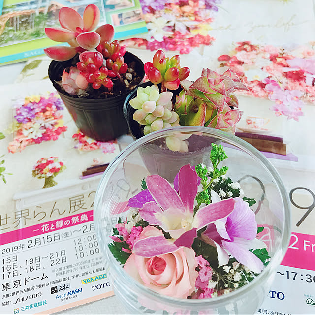 amieさんの実例写真