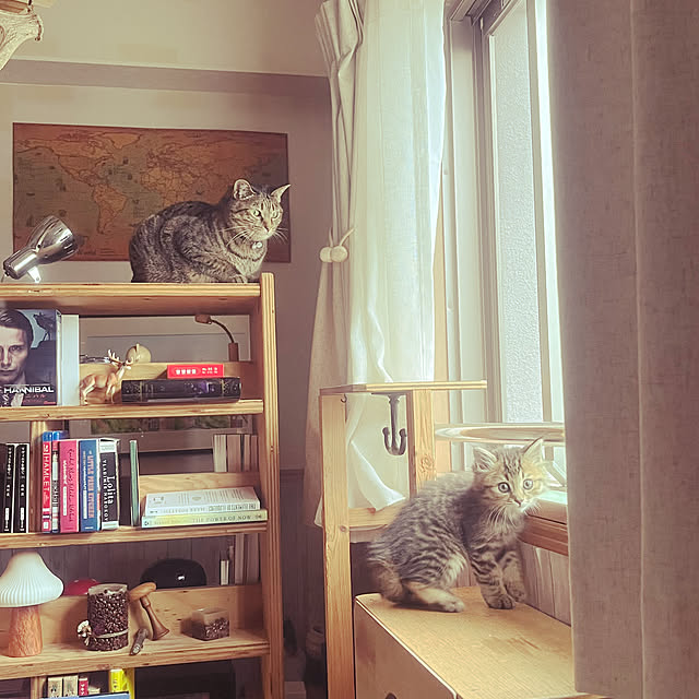 Mさんの部屋