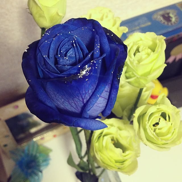 棚のインテリア実例 - 2013-10-28 07:17:49