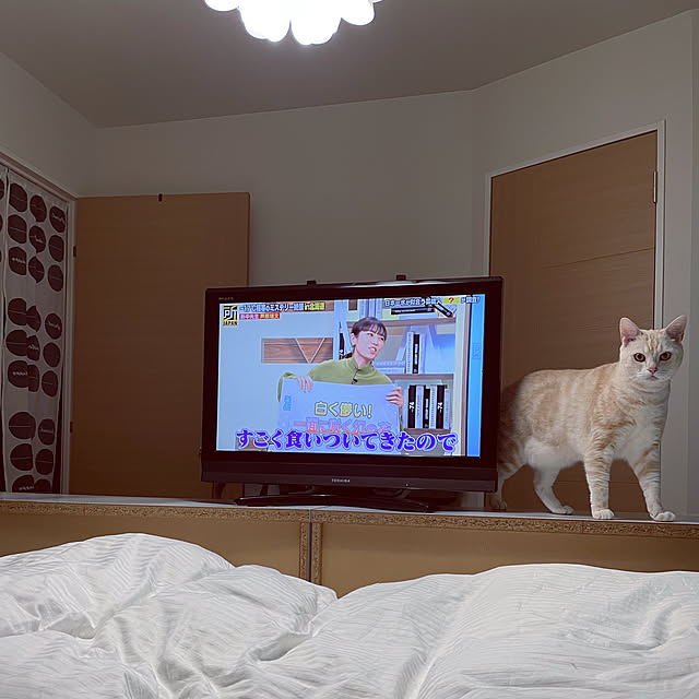 hiyupan88さんの実例写真