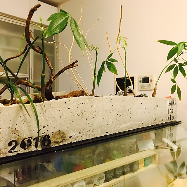 T.Kさんの実例写真