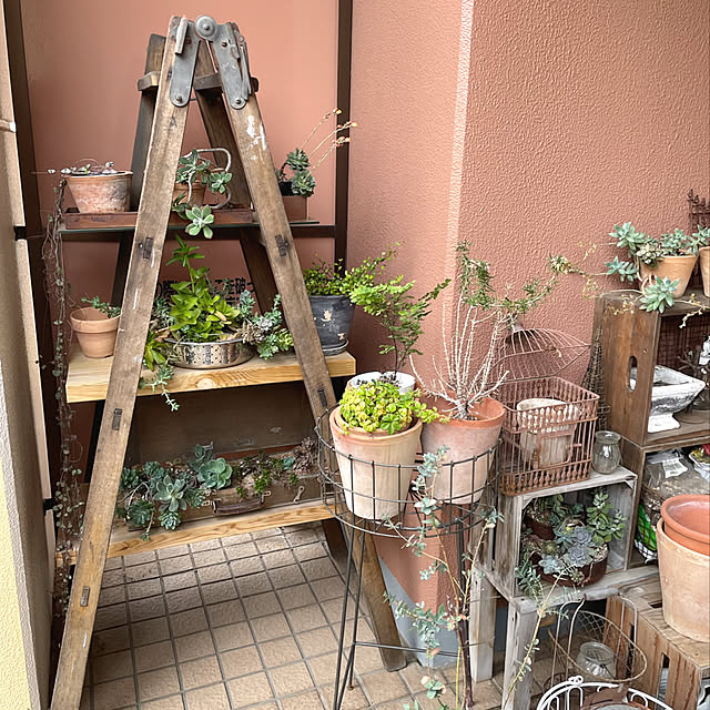 oさんの実例写真