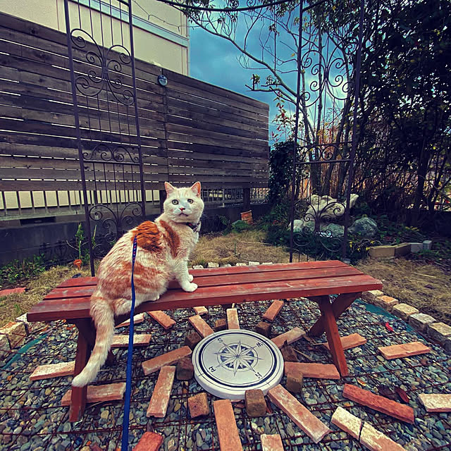 Watanabejunpilさんの実例写真