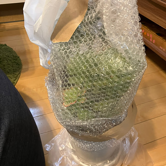 koshiregutyoさんの部屋