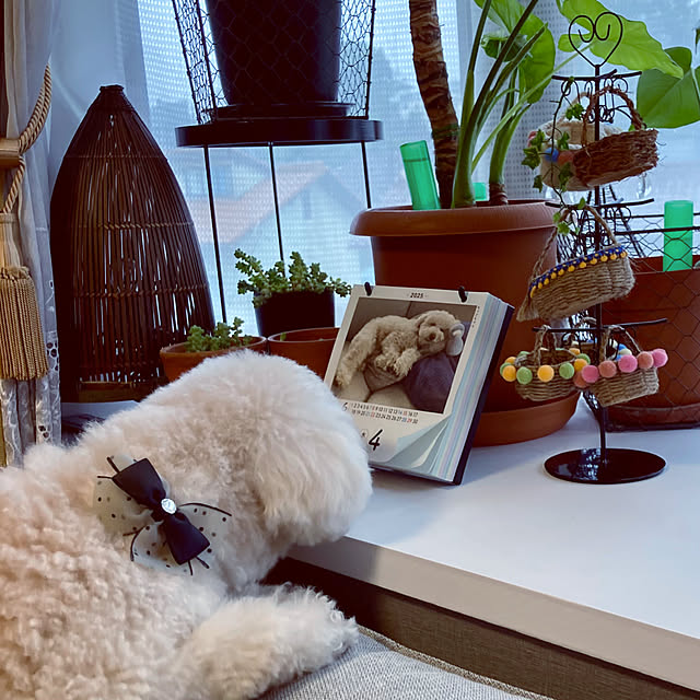 madamkaoriさんの部屋