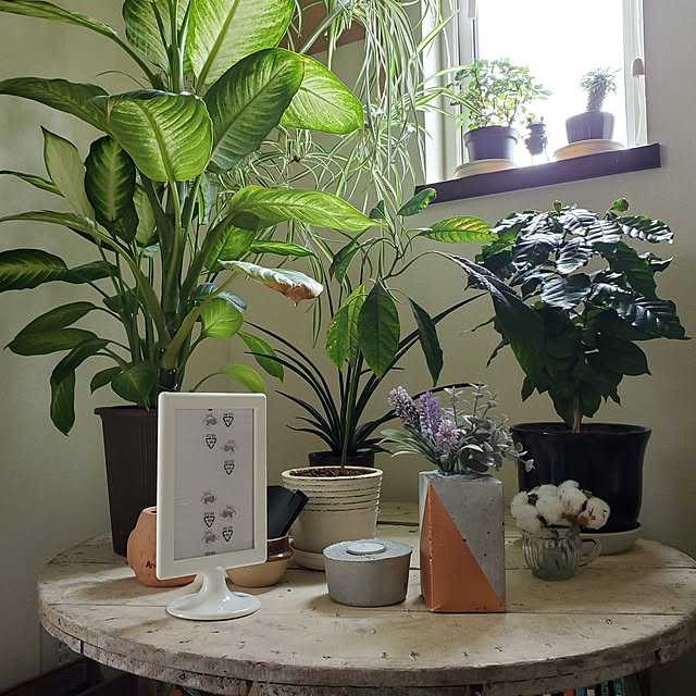 nanaさんの実例写真