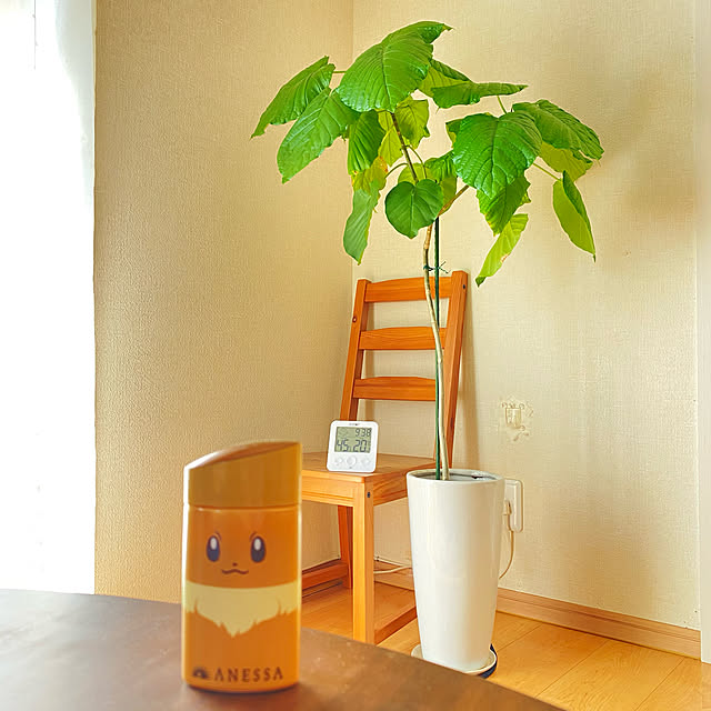 cloverさんの実例写真