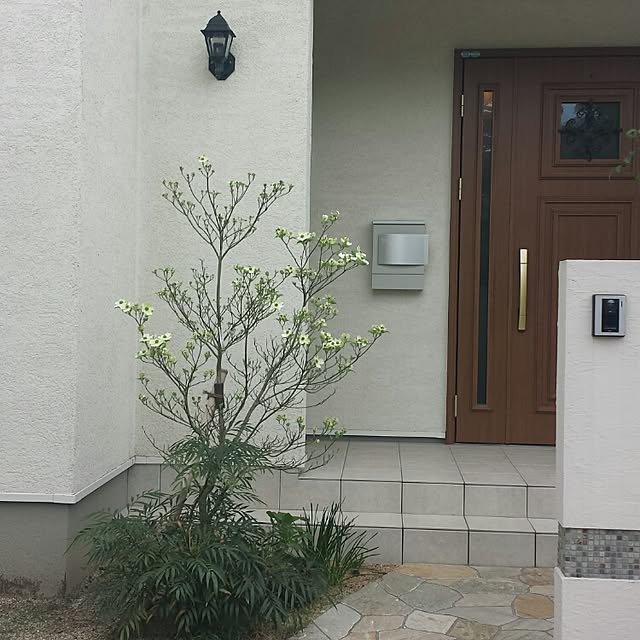 cheeさんの実例写真