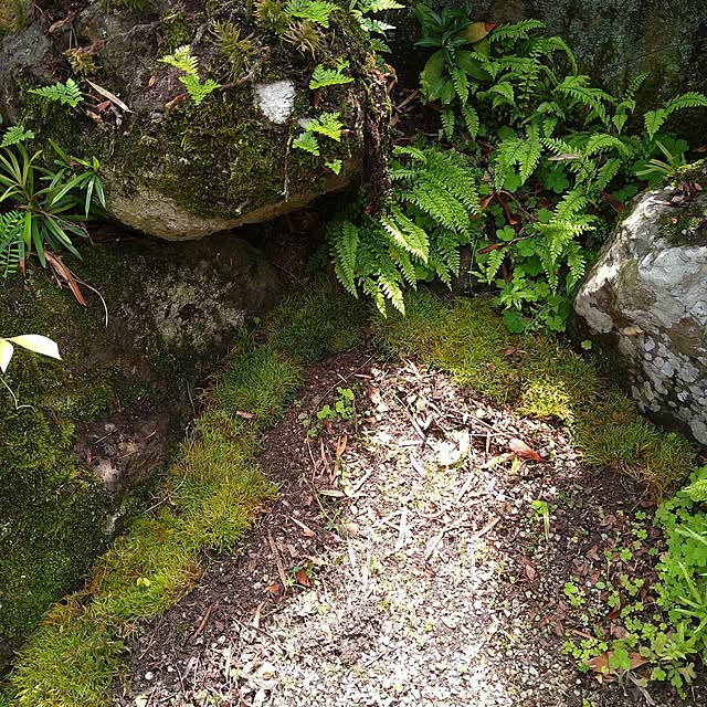 nacoさんの部屋