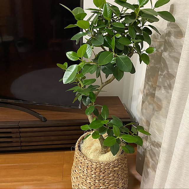 grngrnさんの実例写真
