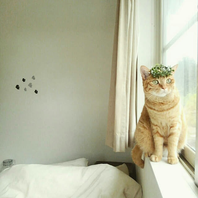 mayutan.さんの実例写真