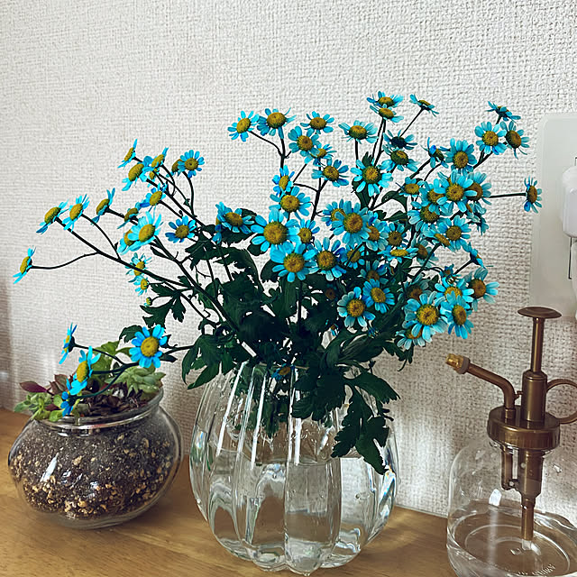tabasaさんの実例写真