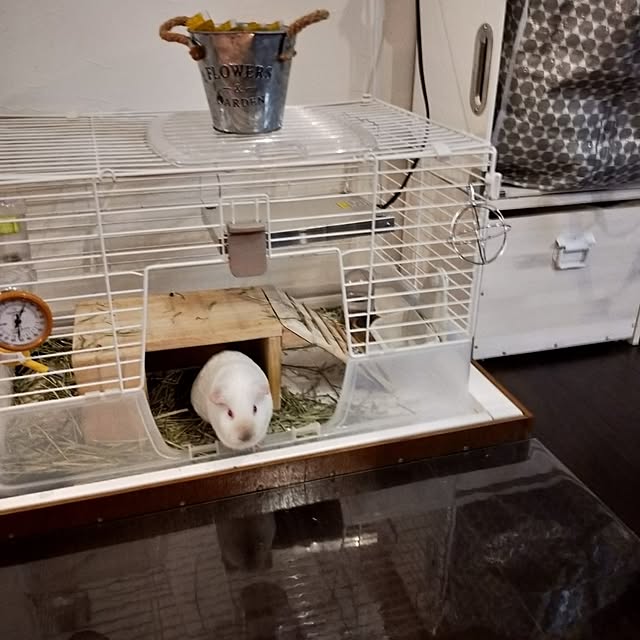 roomicさんの実例写真