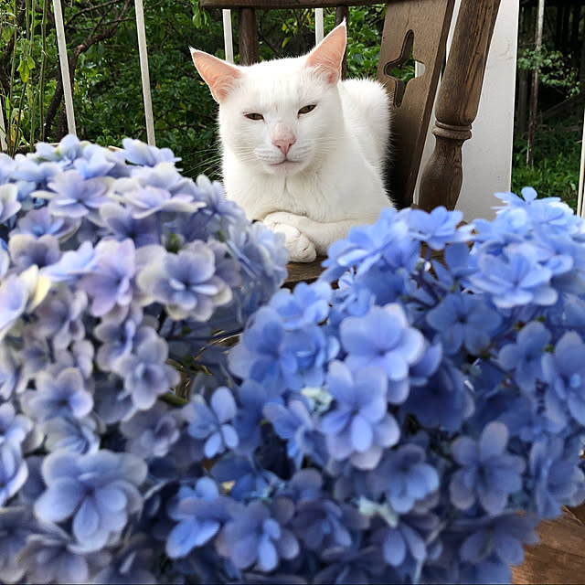 weさんの実例写真