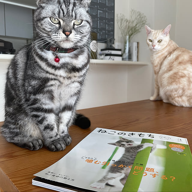 hiyupan88さんの実例写真
