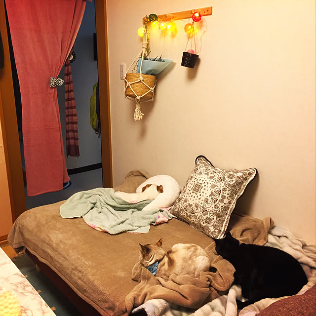 nanaさんの実例写真