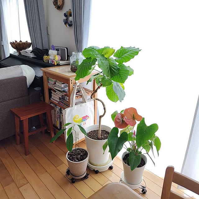 mutsuさんの実例写真
