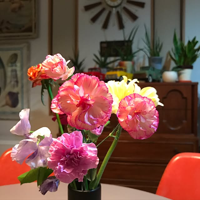 tsuyopipさんの実例写真