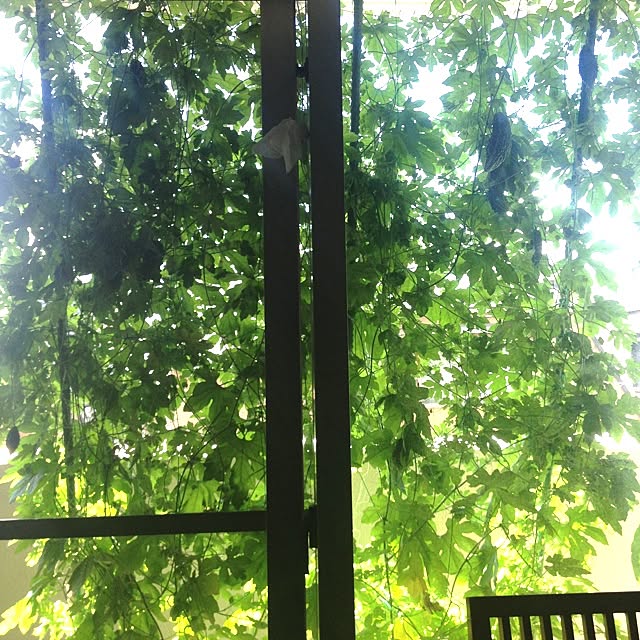 cocotaroさんの実例写真