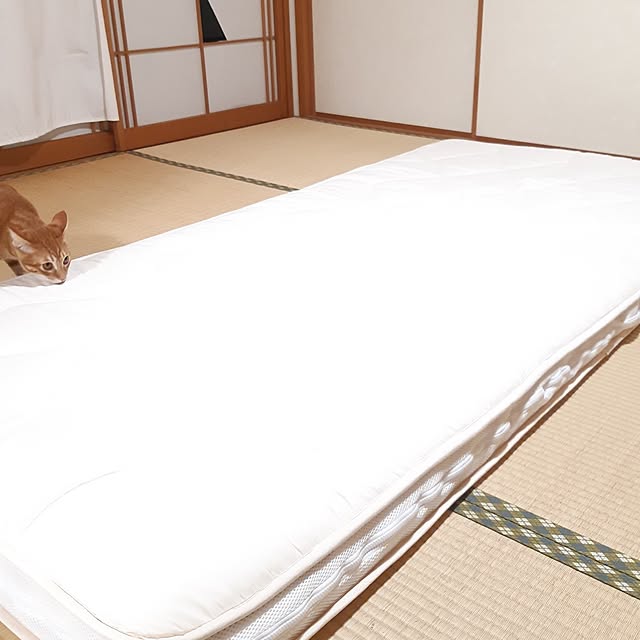 m.m.mさんの部屋