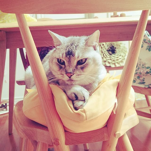 tamacharouさんの実例写真