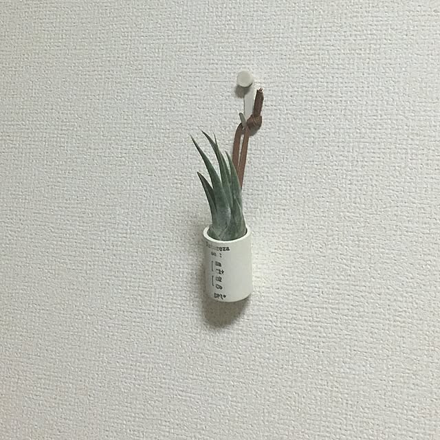tetra163さんの実例写真
