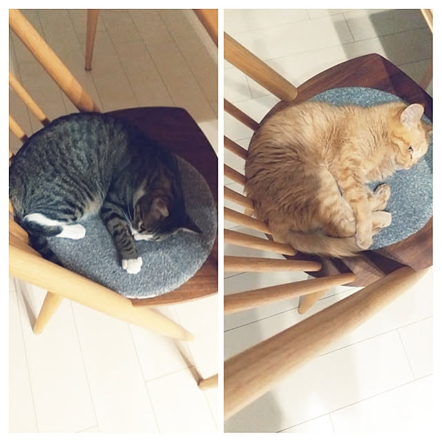 hanacocoさんの実例写真
