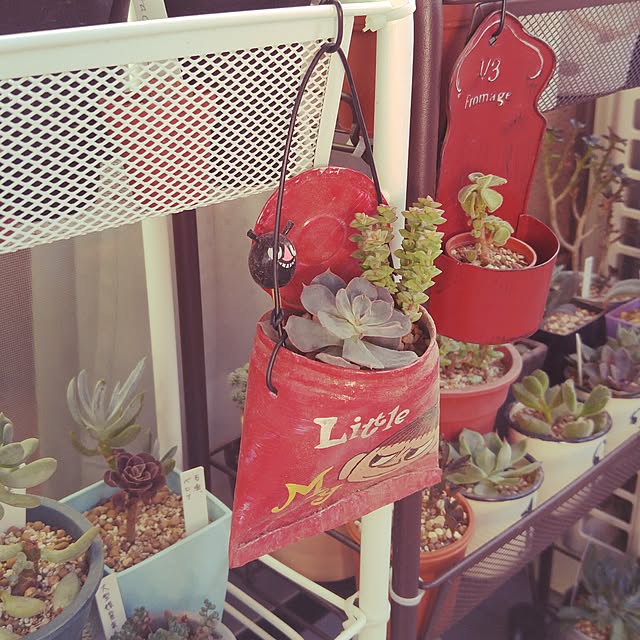 caffeineさんの実例写真