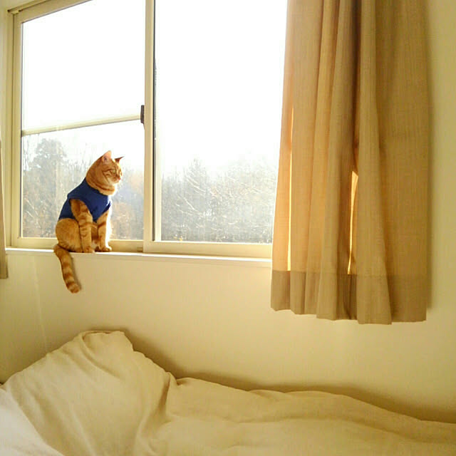 mayutan.さんの実例写真