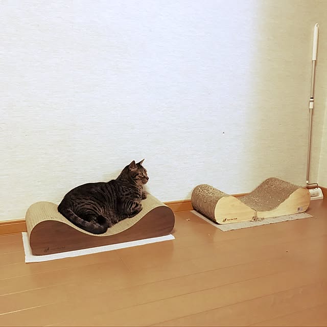 nitonさんの実例写真