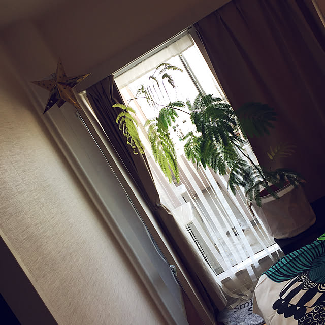 HKSさんの実例写真