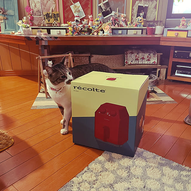 jijiさんの実例写真
