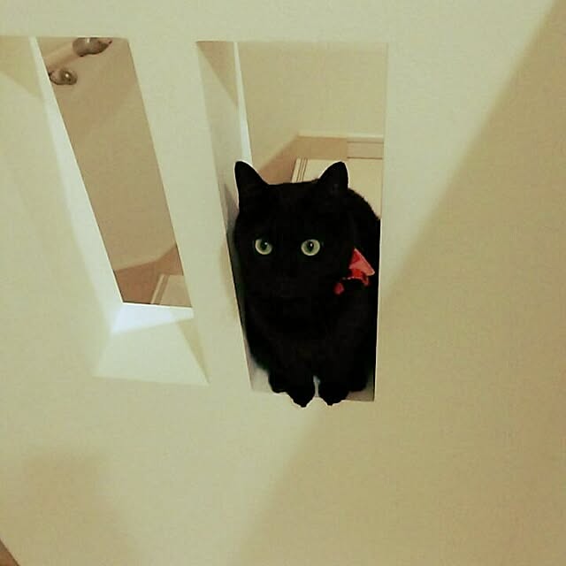 kuuaさんの実例写真