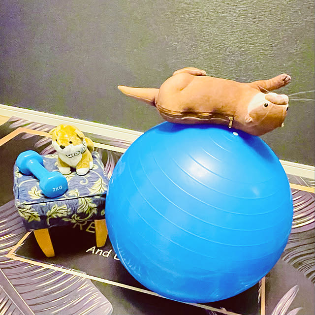 aureaさんの実例写真