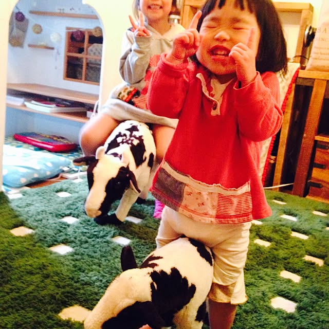 Nozomiさんの実例写真