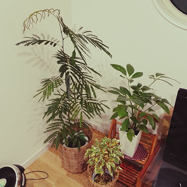 MiRiderさんの実例写真