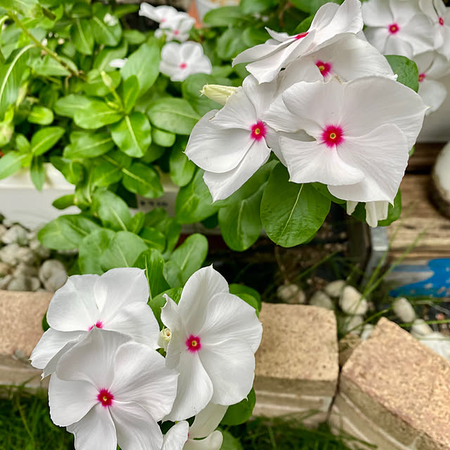 YuuKoさんの部屋