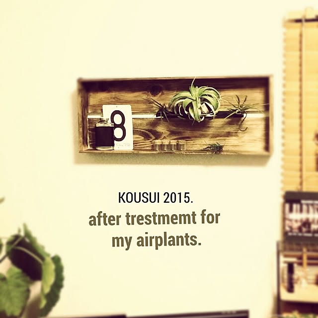 kousuiさんの実例写真