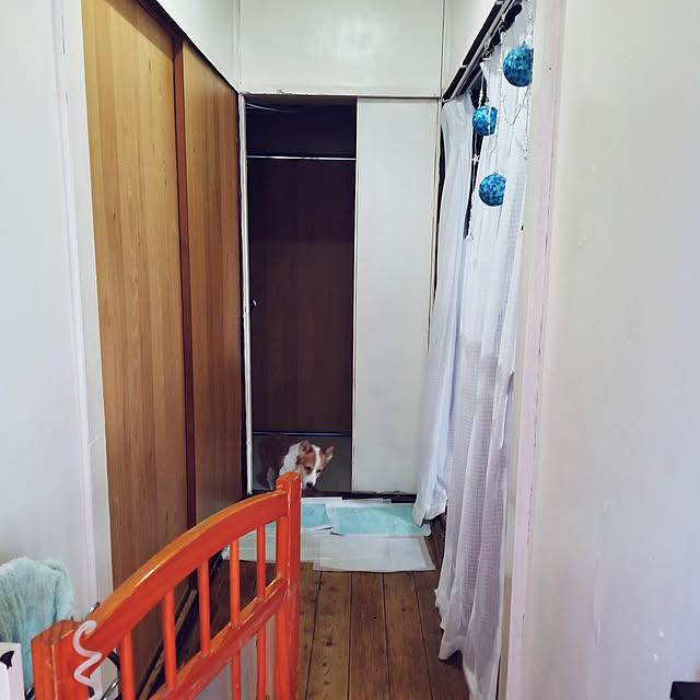 shihokoさんの実例写真