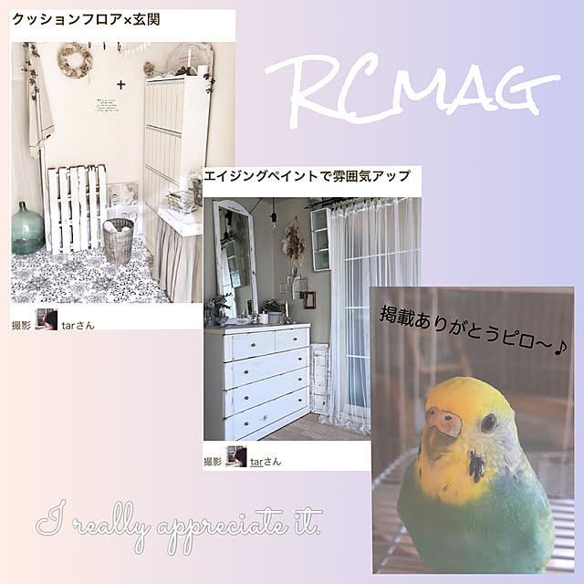 tarさんの実例写真