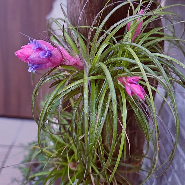 mocomocoさんの部屋