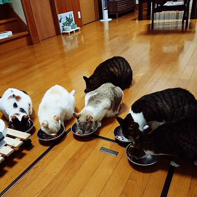 nachiさんの実例写真