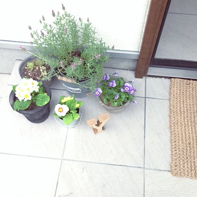 eriinさんの実例写真