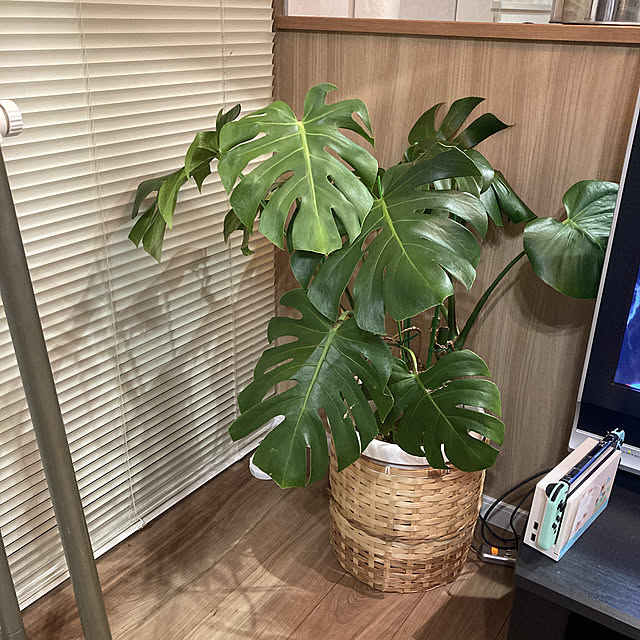 mameさんの実例写真