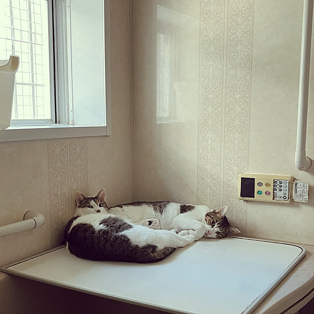 Lufuさんの実例写真