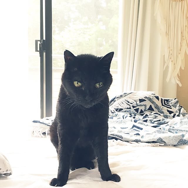 TiffanyTさんの実例写真