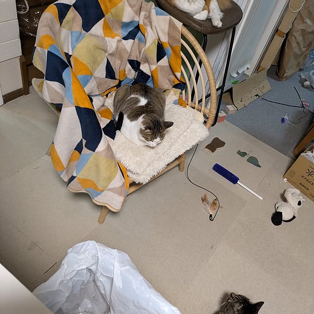 mori_6_12さんの部屋