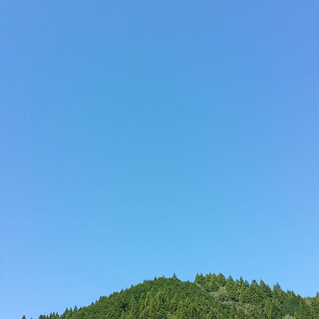nachuさんの実例写真